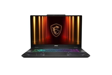 MSI 17.3
