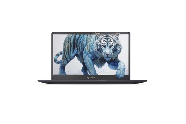 QUADRO 15.6