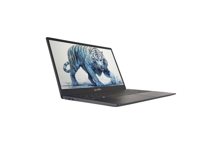 QUADRO 15.6
