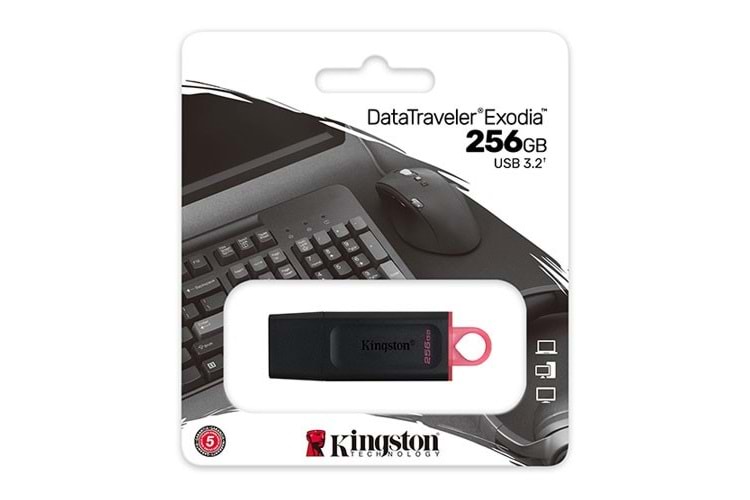 KINGSTON 256GB USB3.2 DTX/256GB USB BELLEK