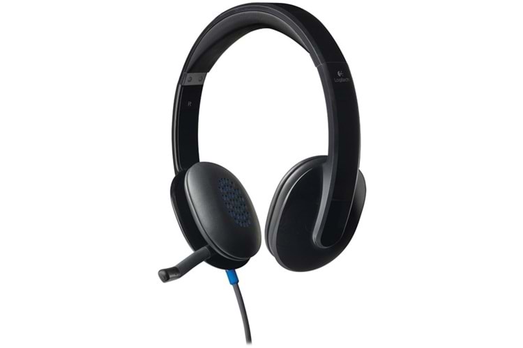 LOGITECH H540 USB SIYAH KULAKLIK 981-000480