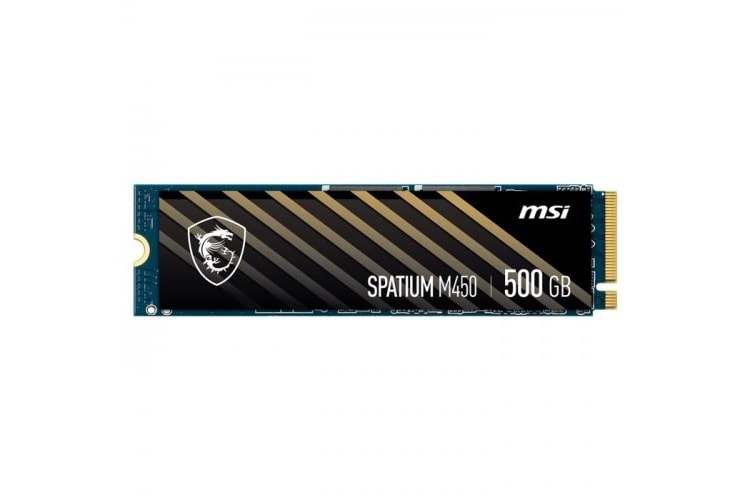 MSI 500GB M450 3600-2300MB/s M2 NVME GEN4 DİSK
