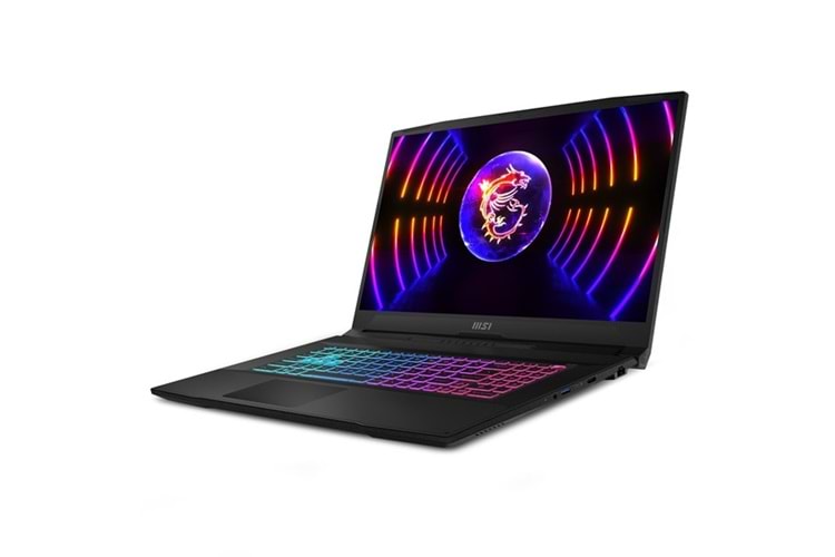 MSI 17.3
