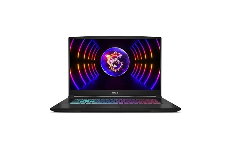 MSI 17.3