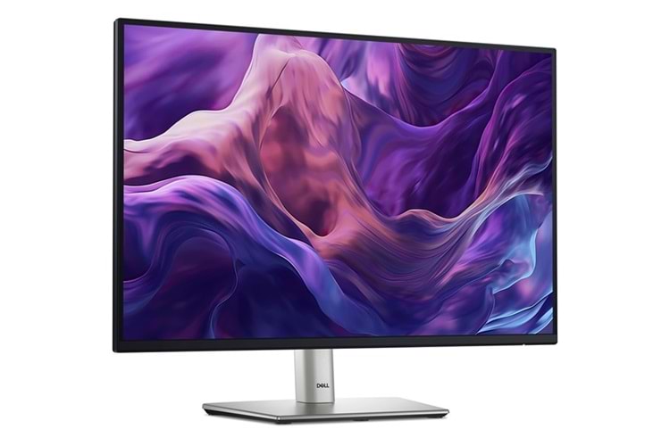 DELL 24