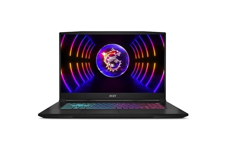 MSI 17.3