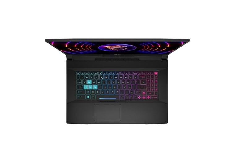 MSI 17.3