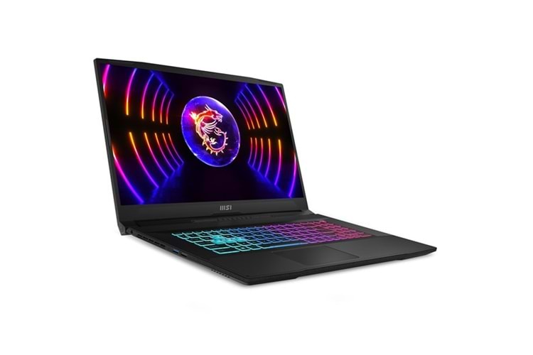 MSI 17.3