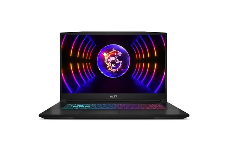 MSI 17.3