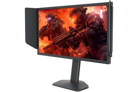 BENQ 24.1