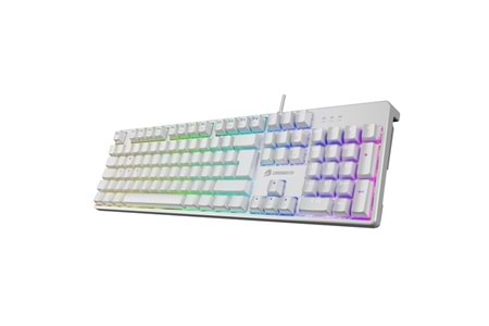 GAMEBOOSTER G24W Enigma Rainbow Aydınlatmalı Red Switch Mekanik Beyaz Oyun Klavyesi