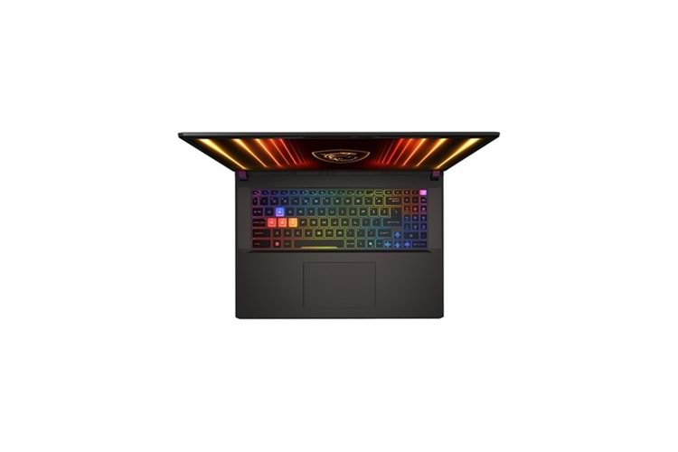 MSI 17