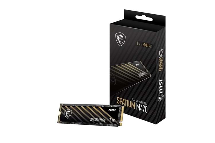MSI 1TB SPATIUM M470 PRO 6000-4500MB/s M2 NVME GEN4 DİSK