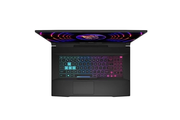 MSI 17.3