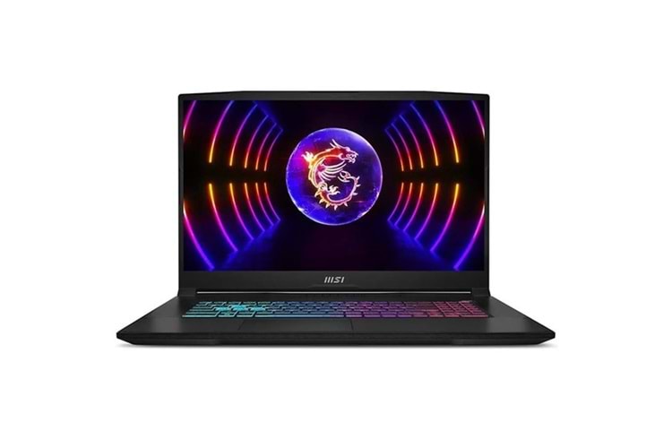 MSI 17.3