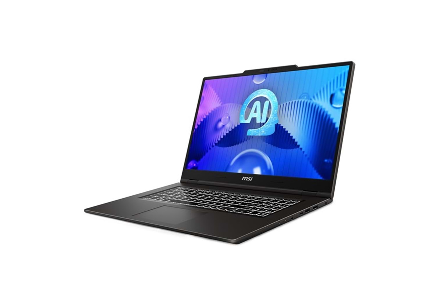 MSI 17.3