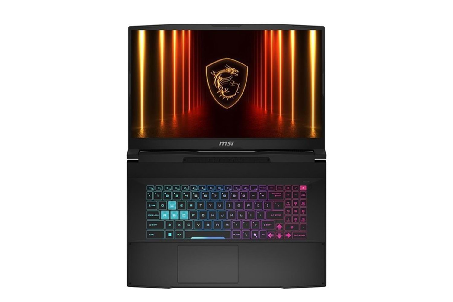 MSI 17.3