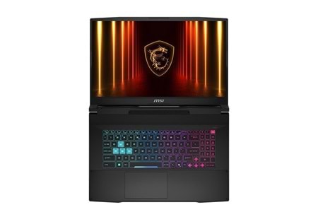 MSI 17.3