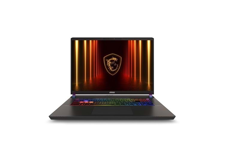 MSI 17