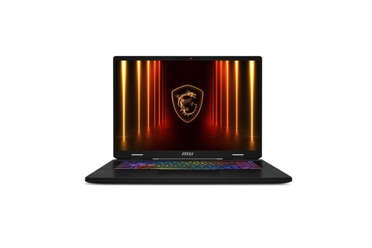 MSI 17