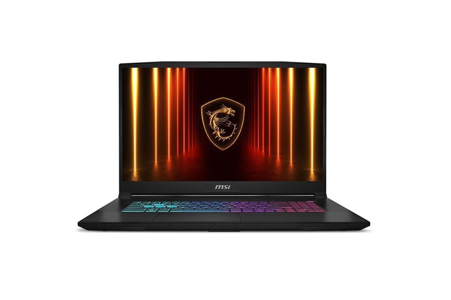 MSI 17.3