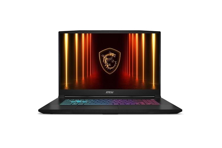 MSI 17.3